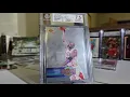Sold A Closer Look at the Variation of the 1993-94 Michael Jordan Holojam