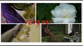 (VLOG #01) Un día conmigo, volvemos al trabajo 🖤