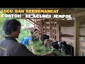 Download Lagu Keren, Lucu❗Santoso Reot Farm, Kambingnya Hasil Silang Jawa Randu P. Etawa