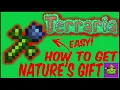 How To Get Nature s Gift In Terraria Terraria 1 4 4 9
