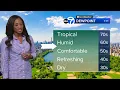 AccuWeather Breezy with rain at night