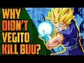 Why Didn t Vegito DESTROY Super Buu Dragon Ball Plot Holes