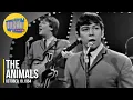 Download Lagu The Animals \