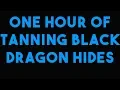 1 Hour of Tanning Black Dragon Hides - How Profitable OSRS