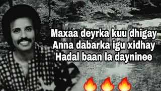 Download HEES | Daandaansi Caashaq | Maxamed Mooge Liibaan | Lyrics MP3