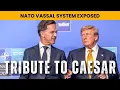 NATO Summit Descends Into Total Farce Trump Mocks Europe Rutte Panic