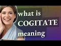 Cogitate meaning of Cogitate