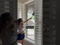 SPRING CLEANING with HACKS part 2 Outdoor Windows Backyard Clean With Me