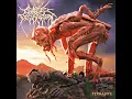 Cattle Decapitation  Solastalgia