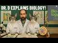 Chapter 7 part 2 of 2 Cellular Respiration and Fermentation from the Openstax Biology 2e textbook
