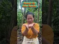 Download Lagu CIK NAMBUT ARTOS SARATUS #akangenday