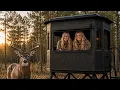 Deer Blind Build Deer season is almost here