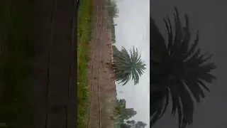 سلام عليكم صفا ماتبيعين يوم طريق في ترن مين قصير كبير الى مكناس 