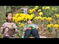 Lagu Touching story of a husband who transformed his wife's grave into a flower garden to commemorate her