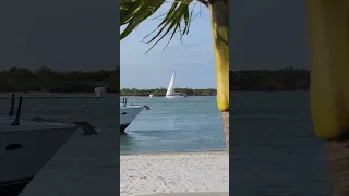 This Beautiful Thing