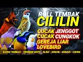 Download Lagu Kompilasi MASTERAN PALING AMPUH MUDAH DITIRU PASS UNTUK BURUNG FIGHTER‼️
