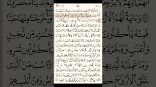 سورة يس كاملة   القارئ محمد اللحيدان   القرآن الكريم دندنها