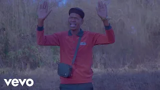 njabulo langa ngishile nje official music video ft thokozani langa