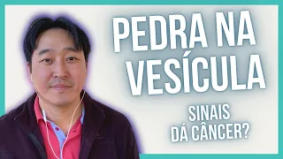 Sinais de Pedra na Vesícula. Quais os principais sintomas de pedra na Vesícula?