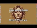 Lagu Heba Olan Dünler - Berrin [ Metin DZNL REMİX ]