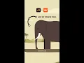 Download Lagu Create perfect arcs in Adobe Illustrator