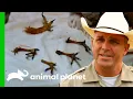 A Wildlife Crime Turns Into A Narcotics Operation Lone Star Law