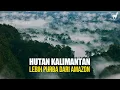 Download Lagu Hutan Kalimantan: Surga Terakhir Asia yang Lebih Tua dari Hutan Amazon