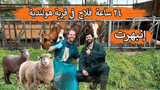 إشتغلت 24 ساعة فلاح في مزرعة هولندية إنبهرت بحياة الفلاحيين 