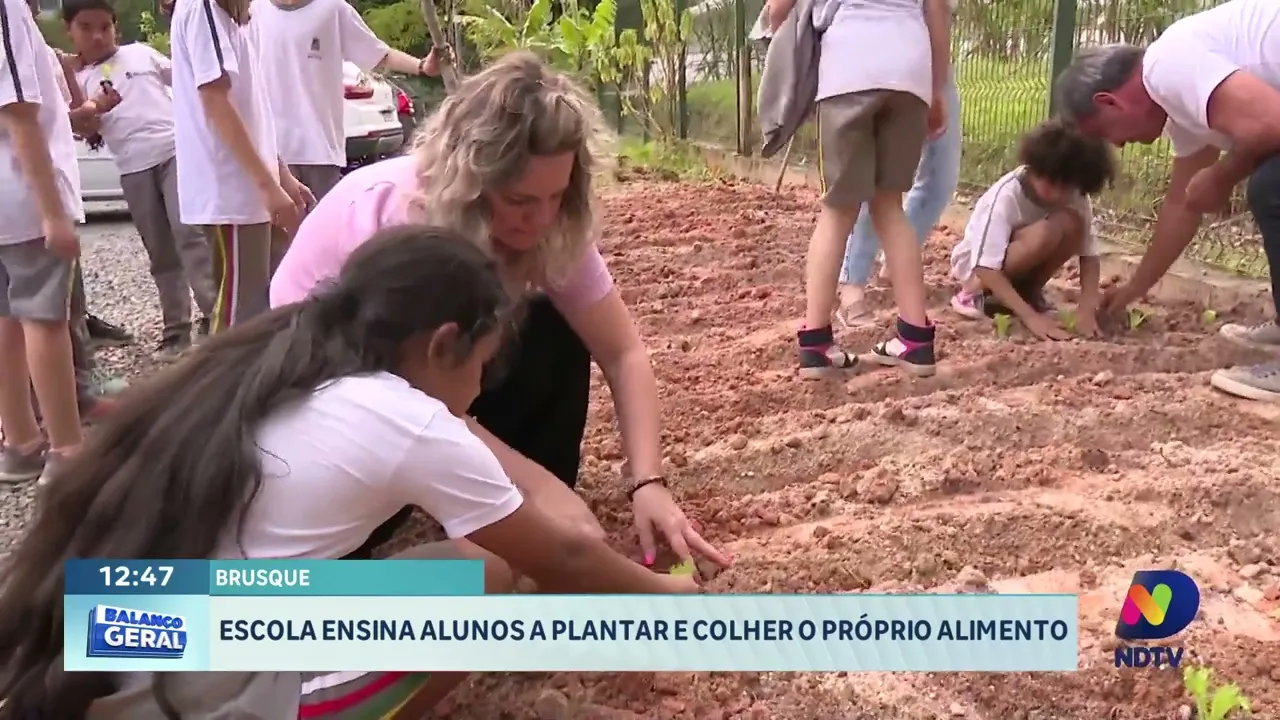 Escola em Brusque ensina alunos a plantar e colher o próprio alimento