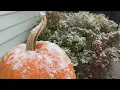 Snow Fall Has Minnesotans Excited Apprehensive
