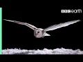 Experiment! Hoe vliegt een uil zo stil? | Superkrachtige uilen | BBC