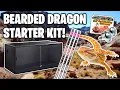 Everything you Need For a Bearded dragon How to setup a bearded dragon tank
