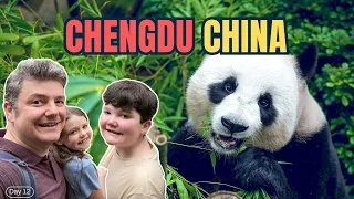 我们去了成都大熊猫繁育研究基地：中国最适合看熊猫的地方