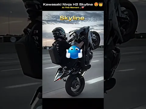 Kawasaki Ninja H2 Skyline ππ #h2 #rider #bikerider #ninja #race #shorts