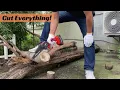 Download Lagu Taranzy Mini Chainsaw 6 Inch Cordless - Cuts Everything
