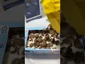 Download Lagu COCO CRUNCH CAMPUR SUSU ULTRA LEBIH ENAK !!!!