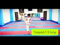 Download Lagu Taekwondo Taeguek 1 ( il Jung ) | MTC Warriors