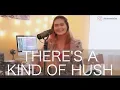 There's A Kind of Hush - Shane Ericks