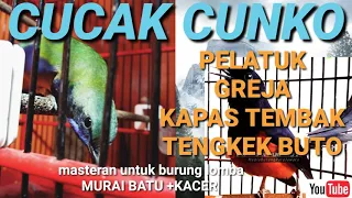 cucak cungko isian komplit durasi panjang