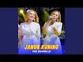 Download Lagu Janur Kuning