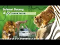 Download Lagu Taman Safari Indonesia - tempat liburan yang penuh edukasi!