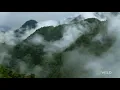 Two Hummingbirds Battle for Nectar | Untamed Andes