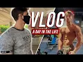 CHASE STOBBE VLOG 2 Farmers Market Mall and CHEST DAY