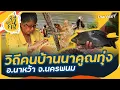 Download Lagu วิถีคนบ้านนาคูณทุ่ง อ.นาหว้า จ.นครพนม | ซีรีส์วิถีคน