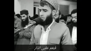 سلام عليكم بما صبرتم القارئ رزكار محمد الكردي 