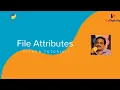 File Attributes in Python File Properties in Python Python tutorials for beginners