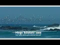 Na Furaha Tutaiona | Twende kwa Yesu | Sounds of Afrika