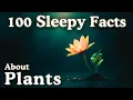 Download Lagu The Most Relaxing Facts About Plants to Fall Asleep To MP3