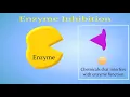 Enzyme Inhibition Competitive vs Non-