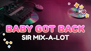 Sir Mix-A-Lot - Baby Got Back
